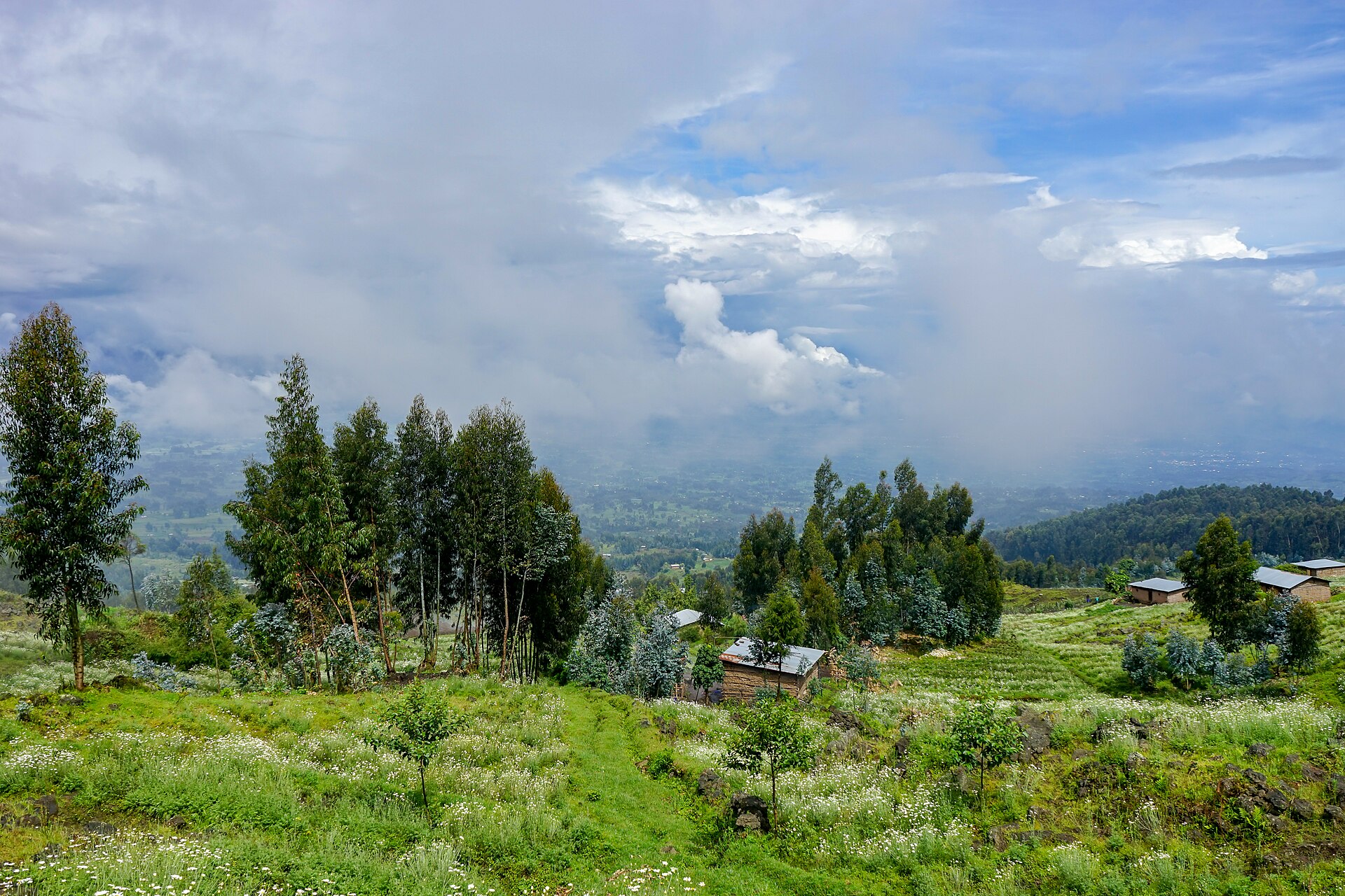 3 DAYS REMARKABLE RWANDA SAFARI 2026/2027